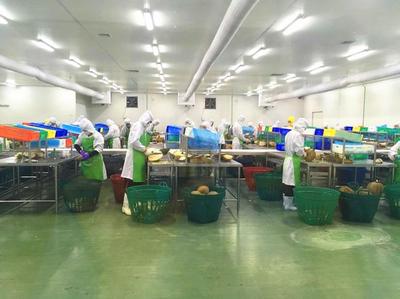 小食品加工厂贴牌流程全解析:轻松把握创业机遇,打造个人品牌