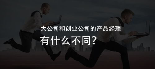 大公司和创业公司的产品经理有什么不同