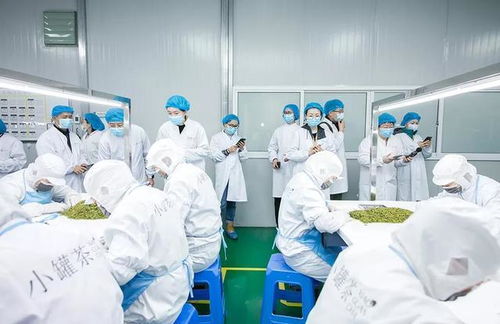 小罐茶创始人杜国楹不谈成功,专讲 输 难怪他创业精神犹在