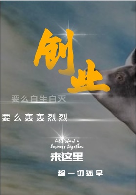 创业风口共享白酒怎么评价