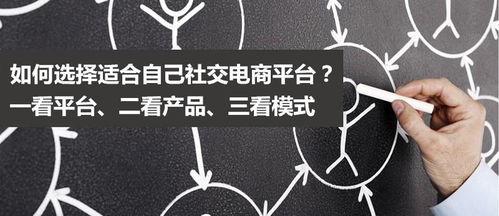 个人如何参与社交电商平台创业 平台和产品是基础,模式是关键