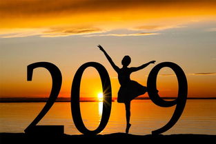 创业公司2019年生存之道 调低业绩预期,做严企业内控,强化组织能力