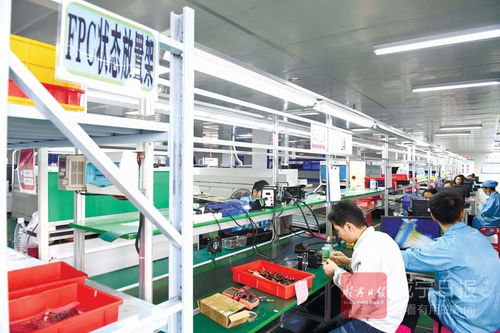 茶花公园加快建设，为创业注入新活力