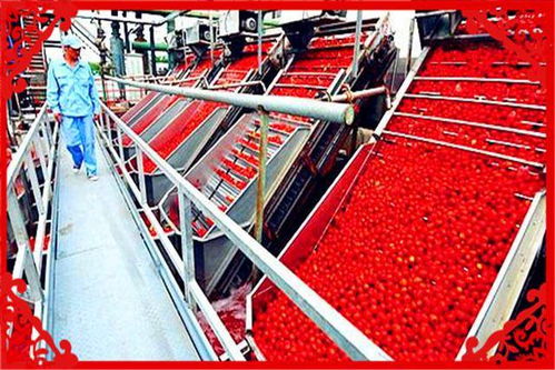 农村开办食品加工厂 创业需注意的五点关键问题