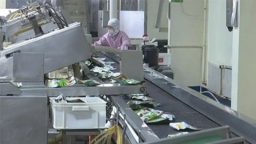 兴安盟“真金白银”助企纾困，激发创业活力