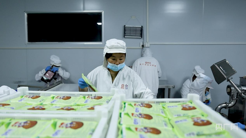 青年返乡潮 以电商为犁，深耕乡土致富新沃土